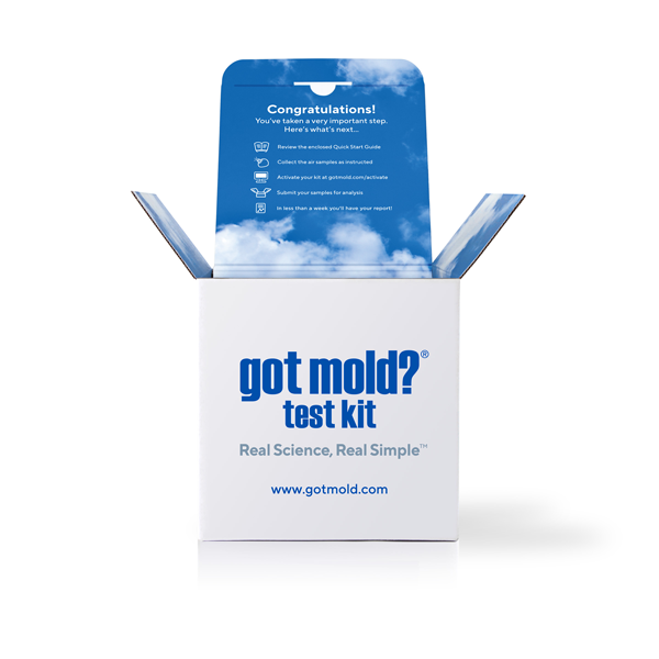 test-kit-box