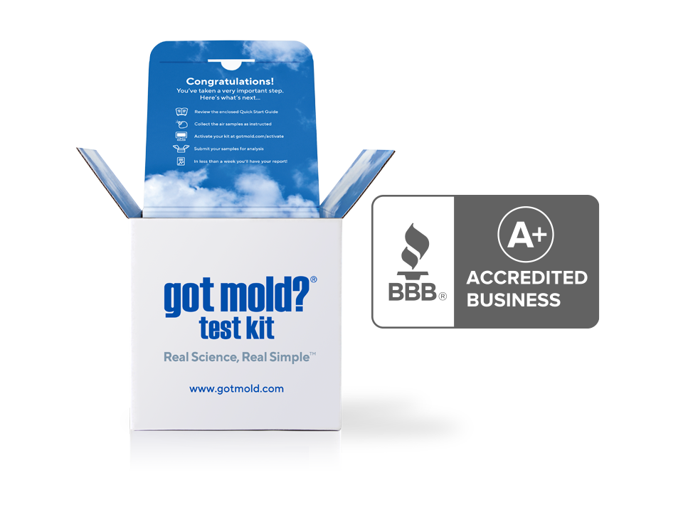 bbb accredited