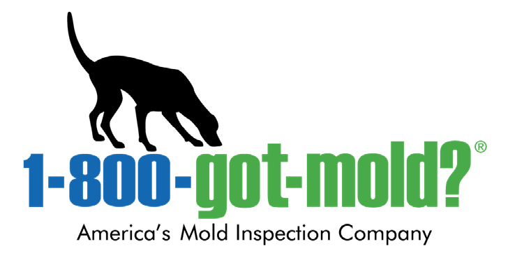 GOT MOLD? home
