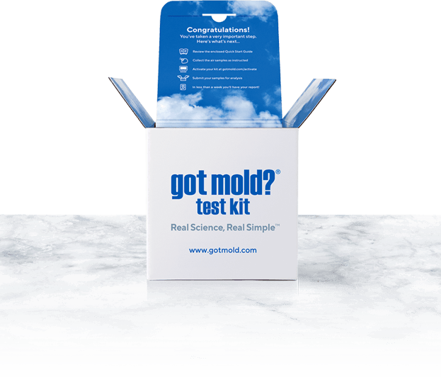 Mold Test Kits, Home Air Quality Tests