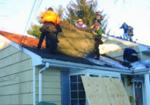 Moldy roof repair