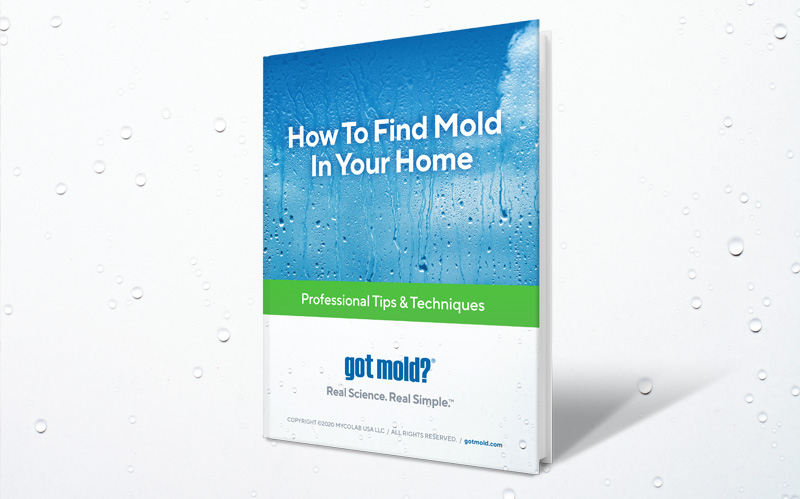 How to Find Mold in Your Home ebook