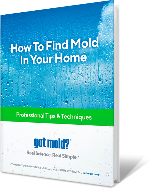 mold book