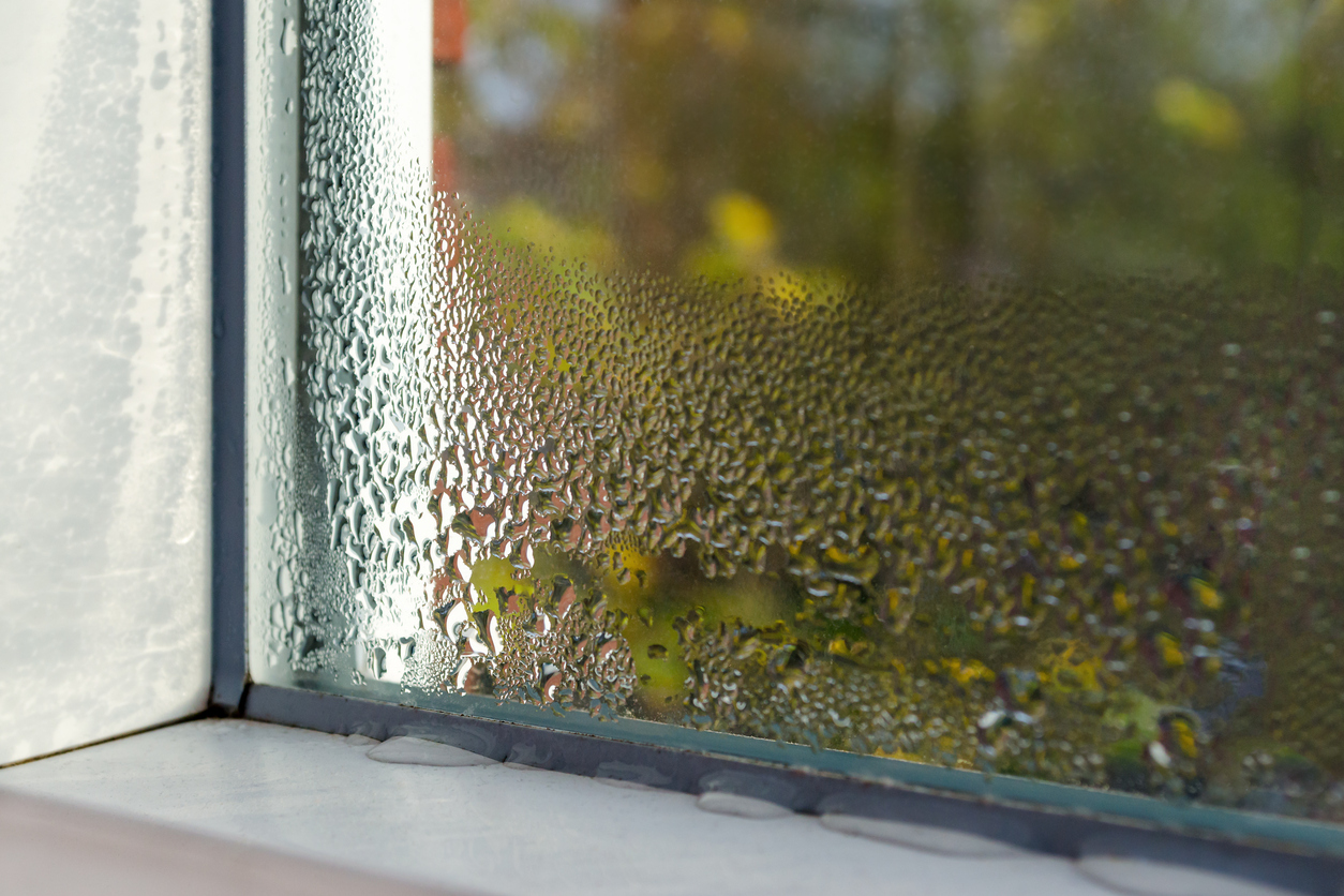 Condensation buildup on a window signaling a problem with humidity levels in the home. Get the guide to humidity and moisture in your home from gotmold.com