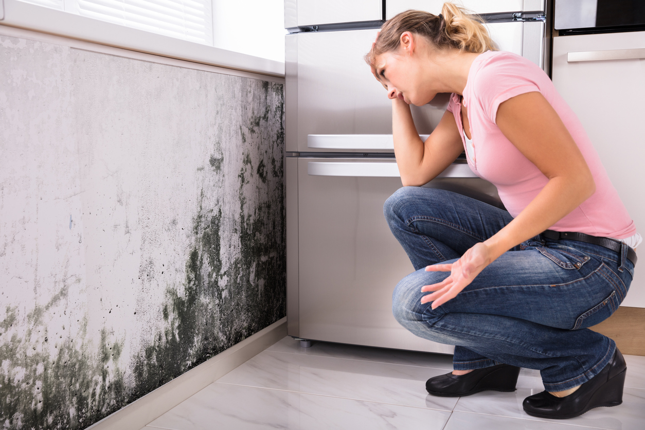 A shocked woman looking at mold on her wall. Find out 5 symptoms of excess moisture in the home.