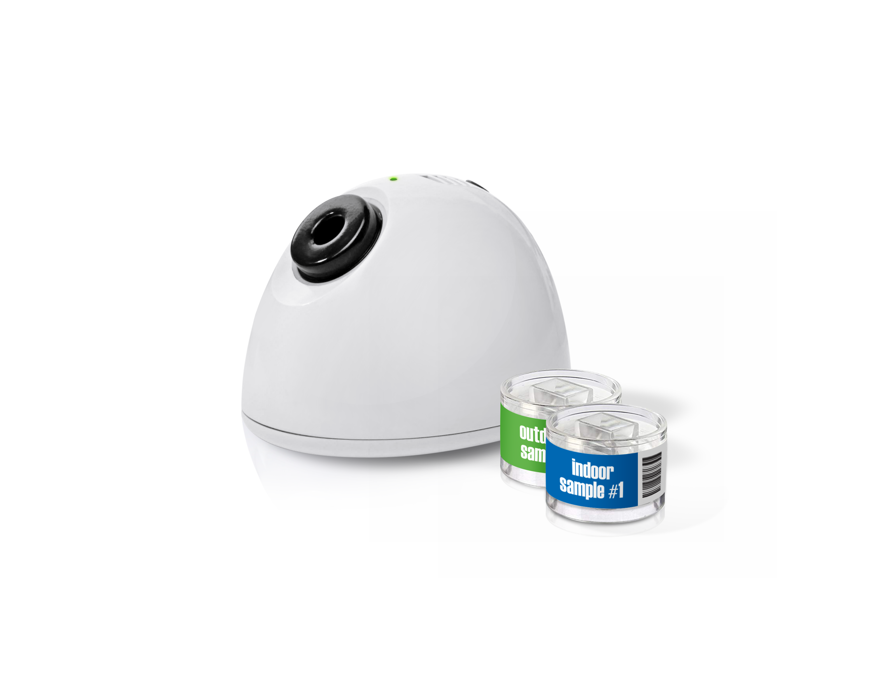 Brand Assets Got Mold