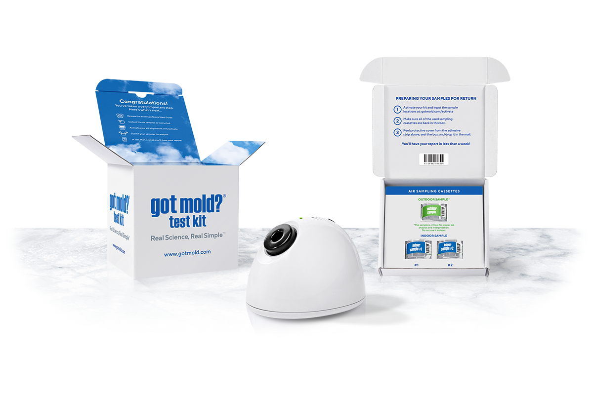 Mold Test Kits Home Air Quality Tests GOT MOLD?