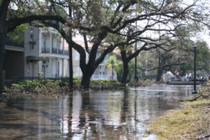 hurricane katrina